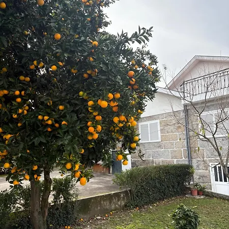 Souto Guimarães